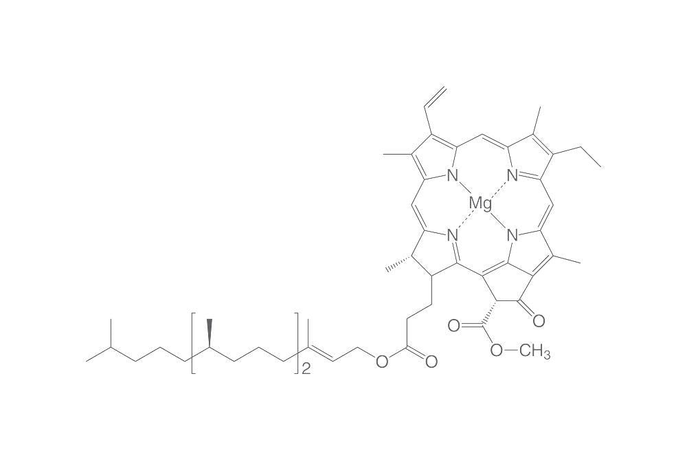 Chlorophyll A, powder, 1 mg, glass - Luminix Health