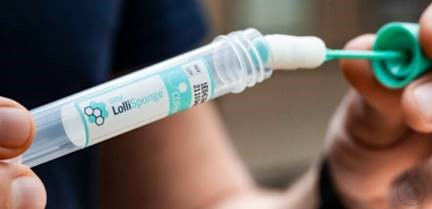 Swab with Amies medium clear, plastic shaft, cap blue - Luminix Health