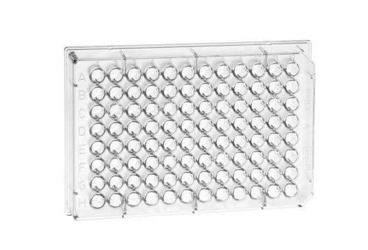 The 96-well microplate, PS, V-bottom, transparent, MICROLON