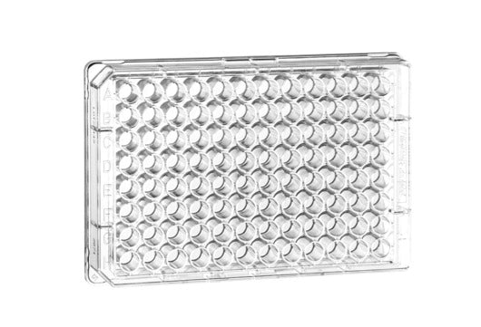 Microplate, 96 well, PS, C-bottom, transparent, streptavidin-coated