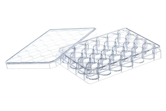 The 24-well cell culture multiwell plate