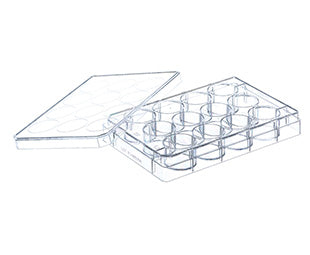 Cell culture multiwell plate, 12 well, PS, transparent, CE