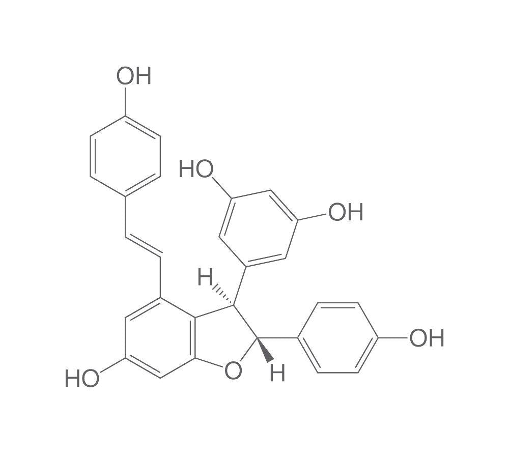 epsilon-Viniferin, ROTICHROM® HPLC, 20 mg, glass - Luminix Health