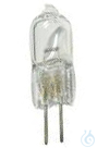 Image of Halogen Lamp 6V/20W - Luminix Health