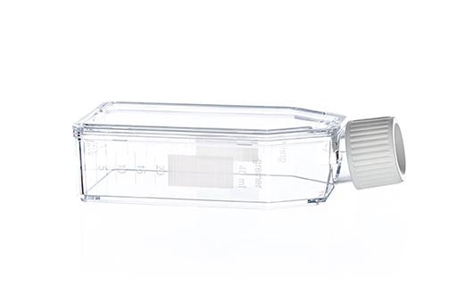 Cell culture flask, 50 ML, 25 CM², PS, transparent, CELLS