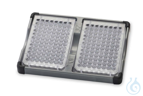 Double Microplate Holder - Luminix Health