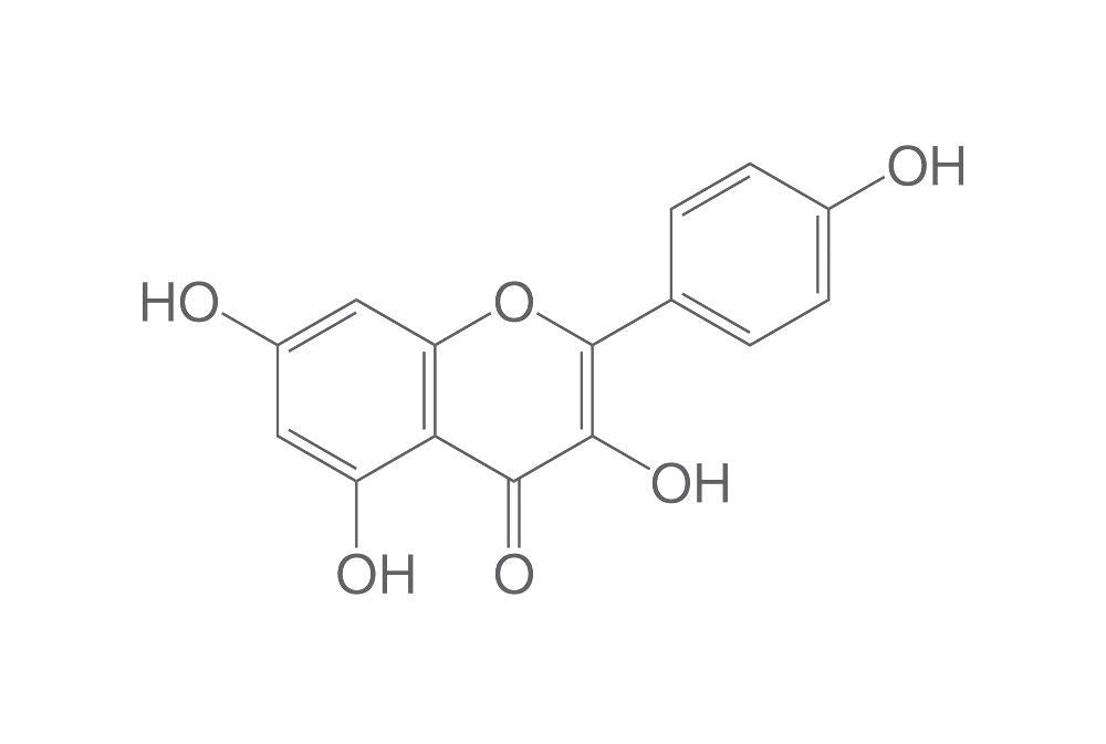 Kaempferol, ROTICHROM® CHR, 500 mg, glass - Luminix Health