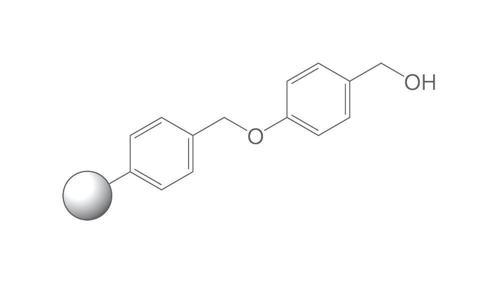 Wang resin, PEPTIPURE®, 100-200 mesh, 1 % DVB, 1 g, glass - Luminix Health