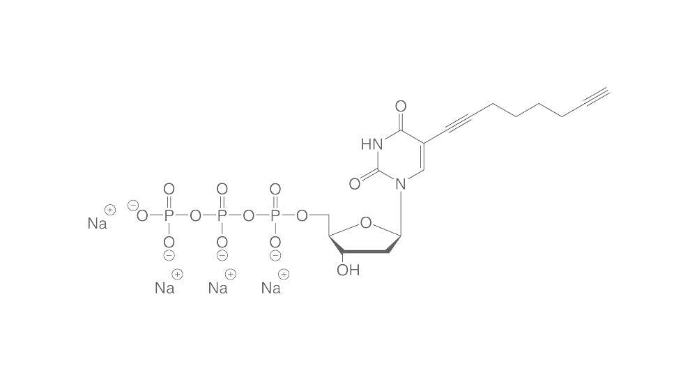 C8-Alkyne-dUTP, min. 95 %, 100 mM in water, 10 µl, plastic - Luminix Health
