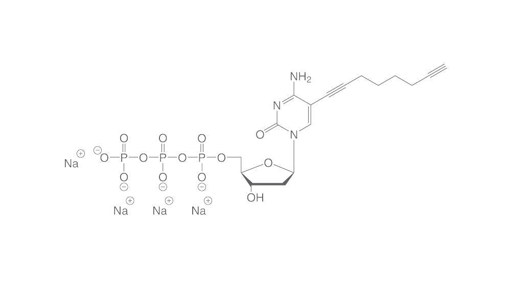 C8-Alkyne-dCTP, min. 95 %, 100 mM in water, 10 µl, plastic - Luminix Health