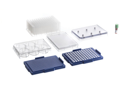 The 384-well bio assay kit, transparent, NanoShuttle 600