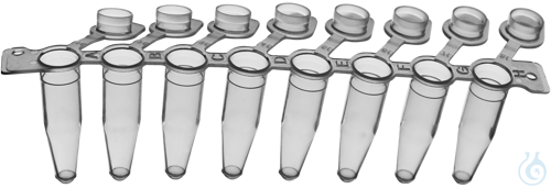 Image of AHN myTube® PCR strip 8 tubes 0,2 mL, clear, Case / 5 x 10 x 12 pcs.