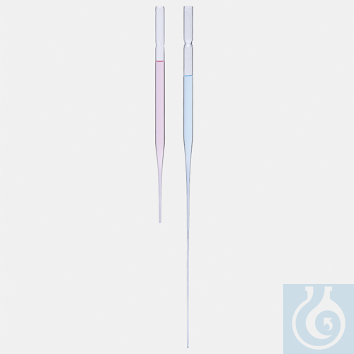pasteur pipettes - glass - 145 mm