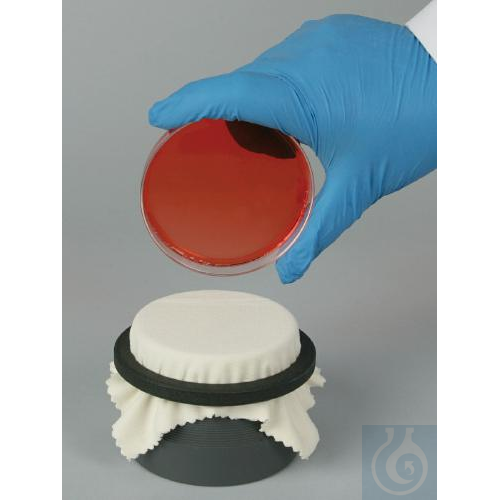 Image of SP Bel-Art Colony Replica-Plating Device forPetri-Dishes - Luminix Health
