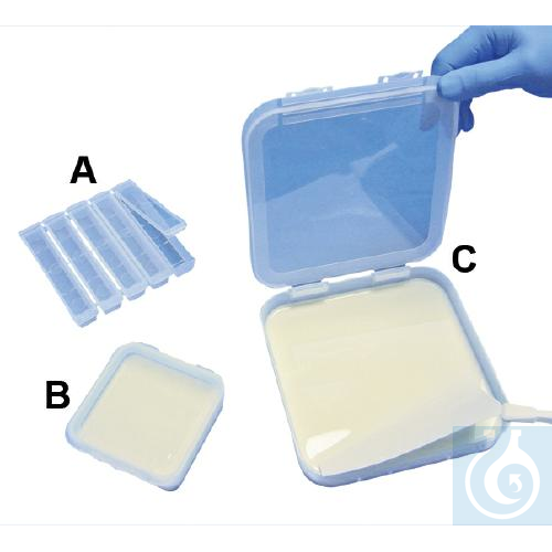 SP Bel-Art Antibody Saver Tray; Plastic, 3½ x 3½ - Luminix Health