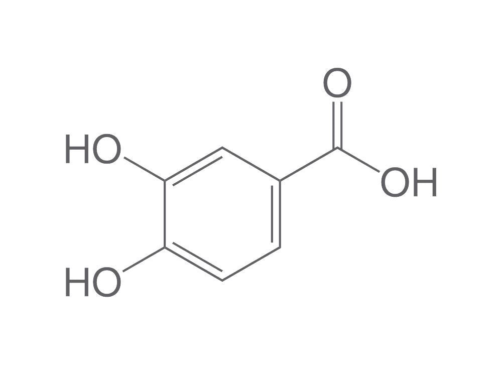 3,4-Dihydroxybenzoic acid, min. 97 %, 10 g, glass - Luminix Health