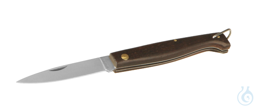 Image of Knive, wooden handle, L=100mm - Luminix Health