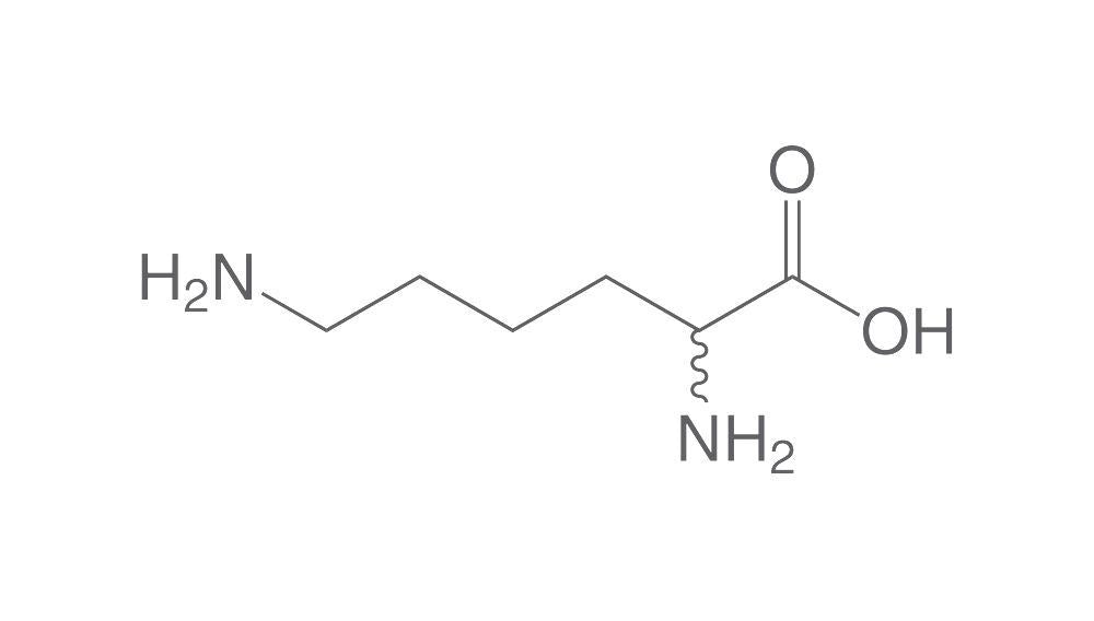 DL-Lysine hydrochloride, min. 98 %, for biochemistry, 500 mg, glass - Luminix Health