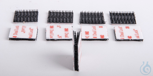 Image of Dual Lock - Luminix Health