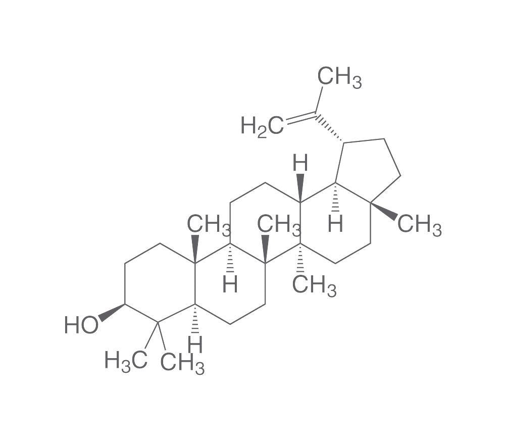 Lupeol, ROTICHROM® HPLC, 20 mg, glass - Luminix Health