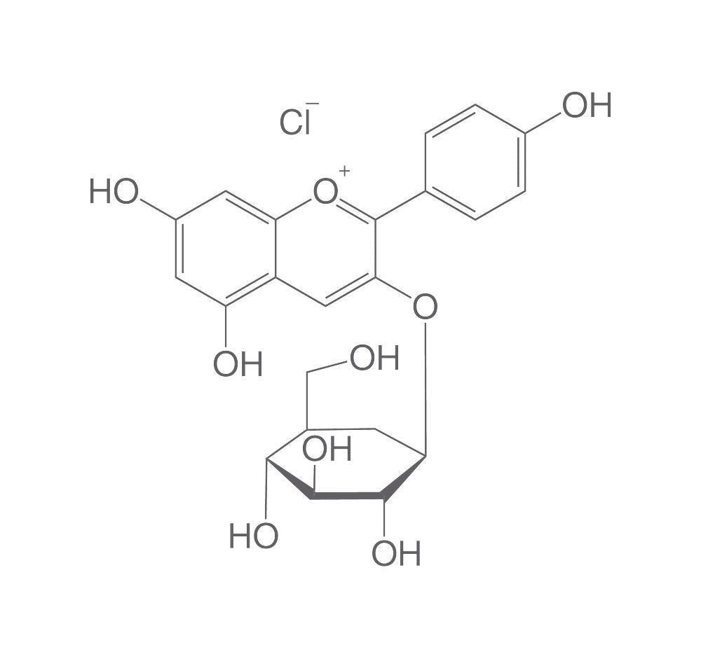 Callistephin (chloride), ROTICHROM® HPLC, 10 mg, glass - Luminix Health