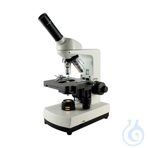 Image of Microscope Ecoline C10 (monocular head), EU plug - Luminix Health