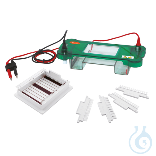 Horizontal electrophoresis system, gel sizes 60 x 60, 60 x 120 or 120 x 120 mm - Luminix Health