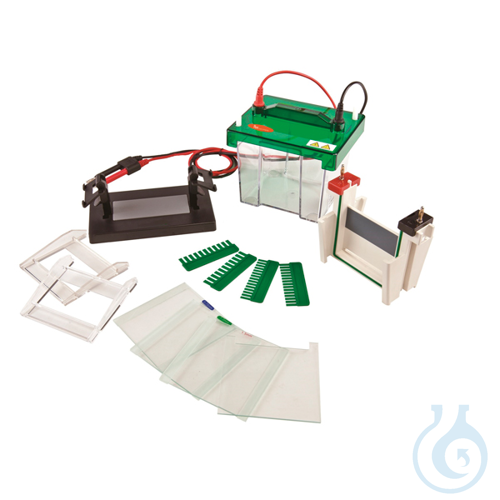 Vertical electrophoresis system, gel size 82 x 88mm, 1 or 2 gels - Luminix Health