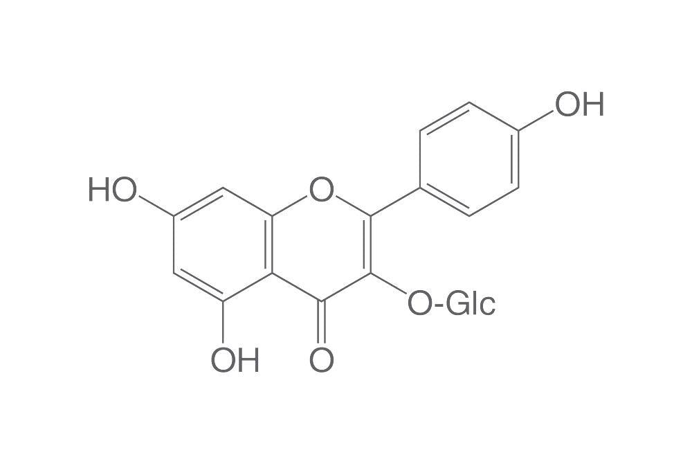 Kaempferol-3-glucoside, ROTICHROM® HPLC, 5 mg, glass - Luminix Health