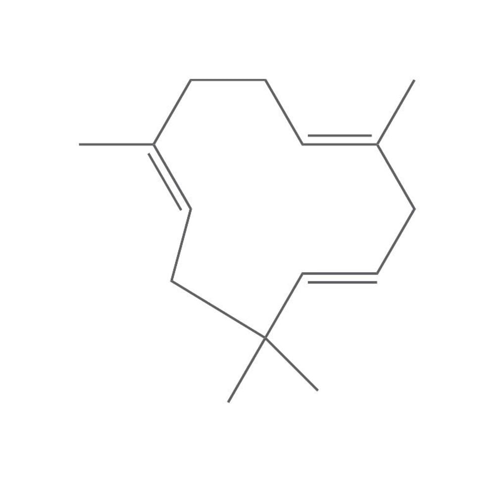 Image of alpha-Humulene