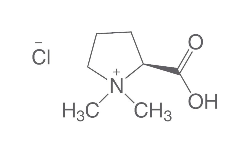 Stachydrine hydrochloride, 20 mg, glass - Luminix Health