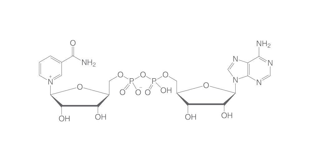NAD, min. 95 %, for biochemistry, 1 g, glass - Luminix Health
