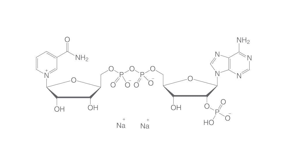 NADP disodium salt, min. 98 %, for biochemistry, 250 mg, glass - Luminix Health