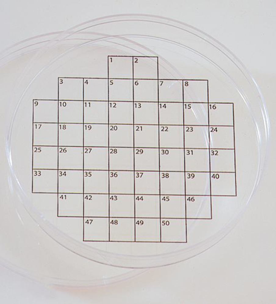 PetriStickerTM, square grid, 50 arrays, 36 unit(s) - Luminix Health