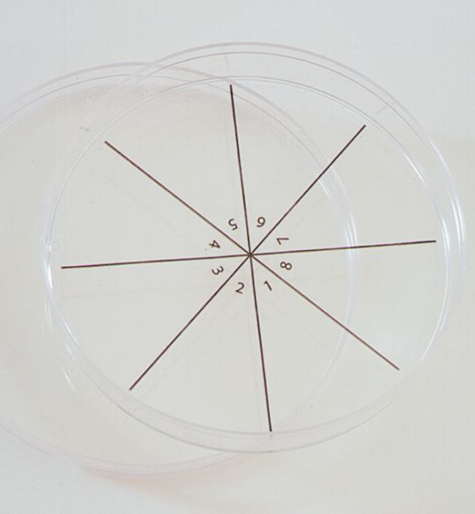PetriStickerTM, pie cut, 12 arrays, 36 unit(s) - Luminix Health