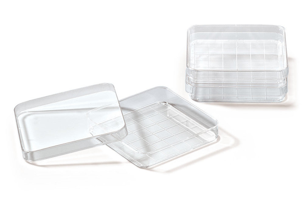Quadratic petri bowls with grid, PS, L 100 x W 100 x H 15 mm, vol. 110 ml - Luminix Health