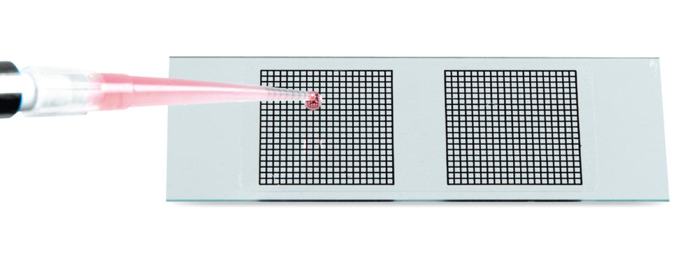 Marking films for microscope slides, 2 grids 20 x 20 mm, 40 unit(s) - Luminix Health
