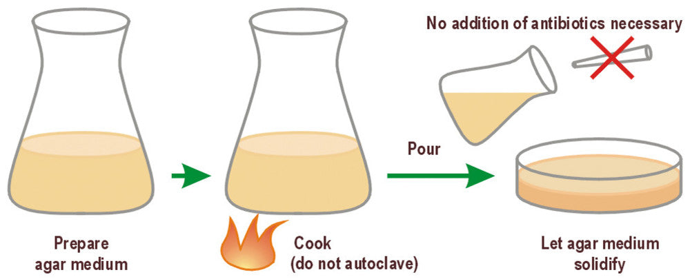 LB-Agar (Lennox) / Amp100, for molecular biology, 500 g, plastic - Luminix Health