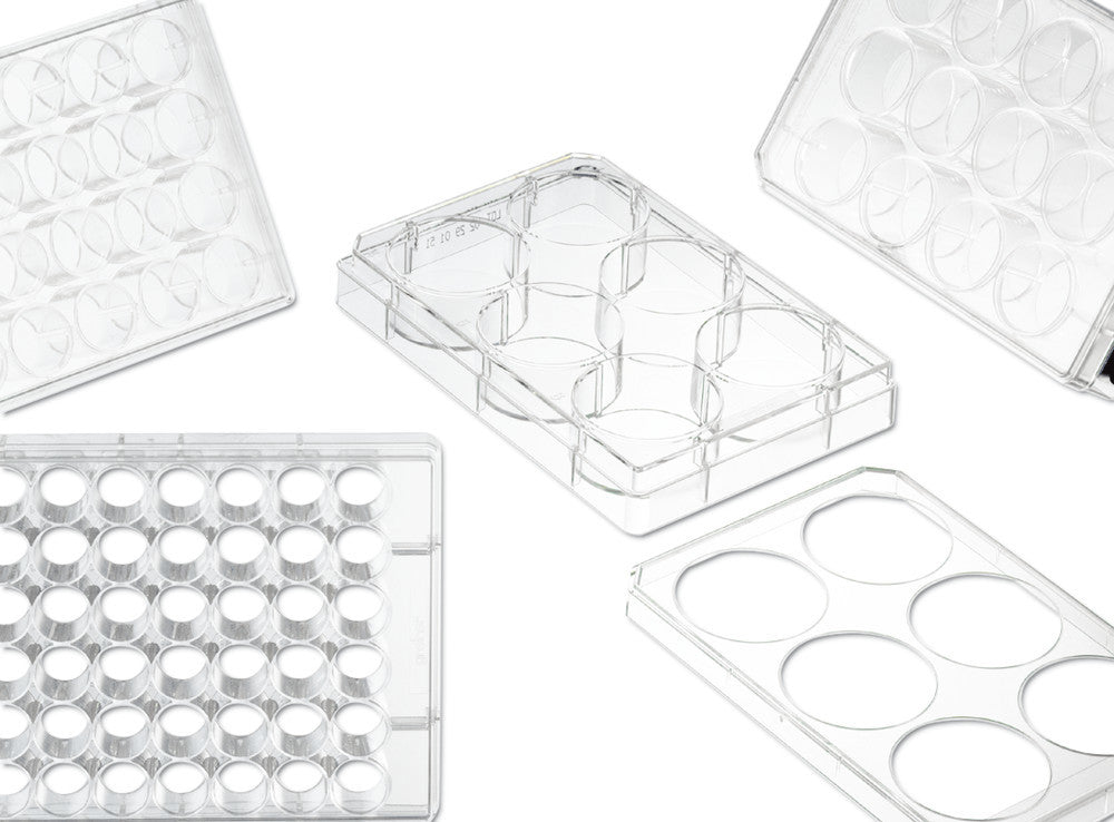 Cell culture Multiwell plates, PS, with cover plate, sterile, 24 Wells - Luminix Health