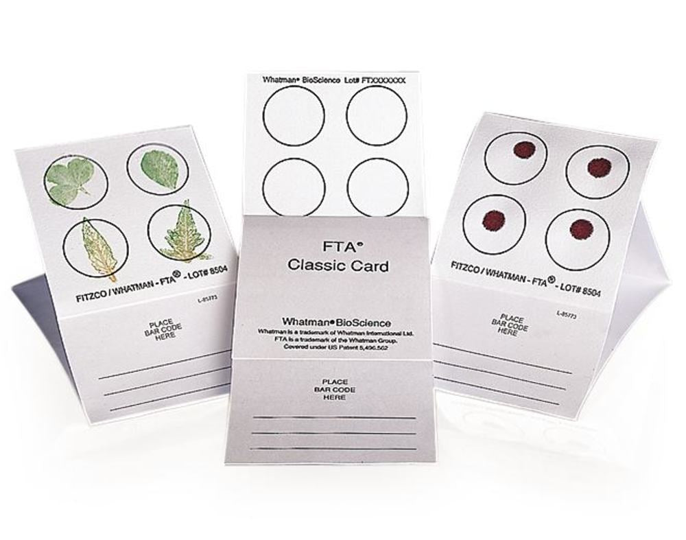 FTA®-cards, MINI with colour indicator, speciality cards by Whatman, 2 areas - Luminix Health