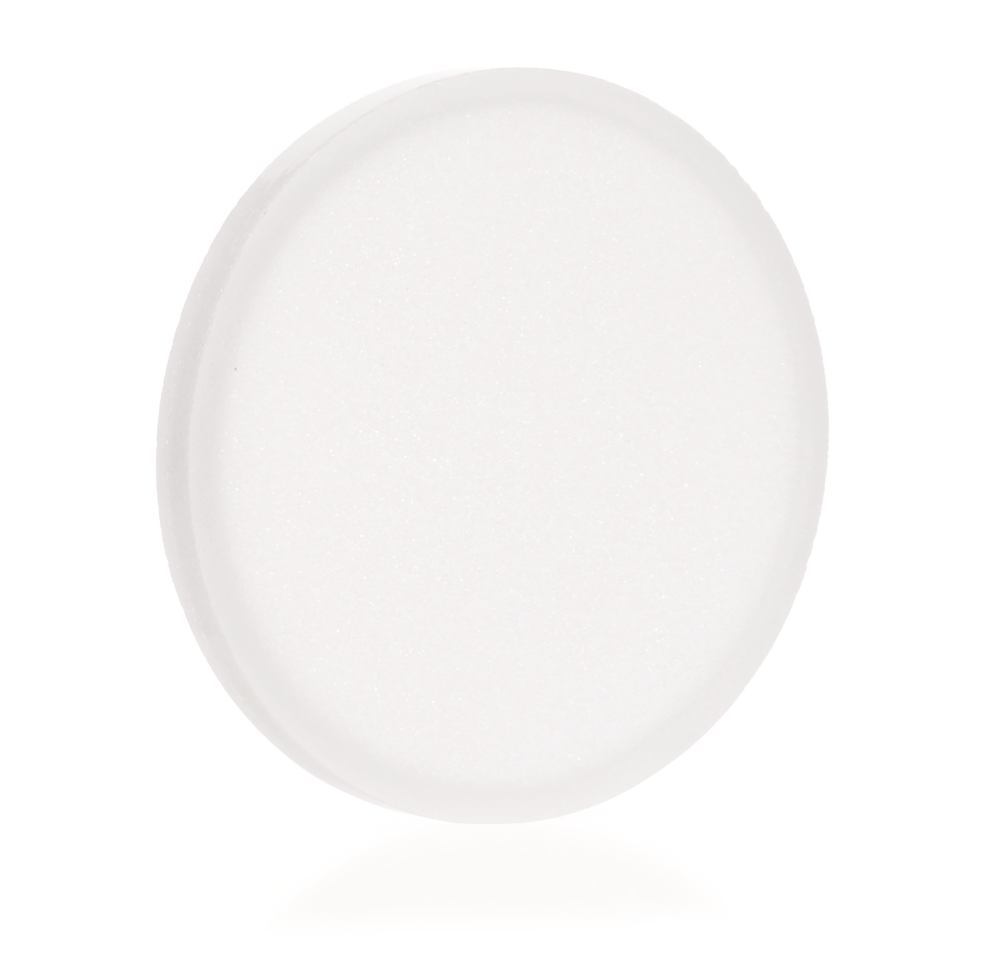 Filter plate, for 1000-ml unit, Ø 90 mm, porosity 2, 40 - 100 µm, 1 unit(s) - Luminix Health