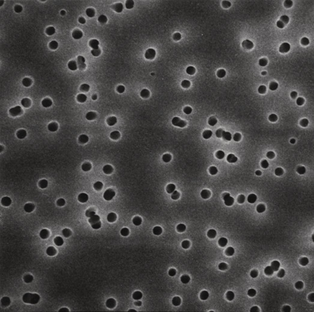 Polycarbonate-Membrane filters, black, Ø 25 mm, pore size 0.22 µm, 100 unit(s) - Luminix Health