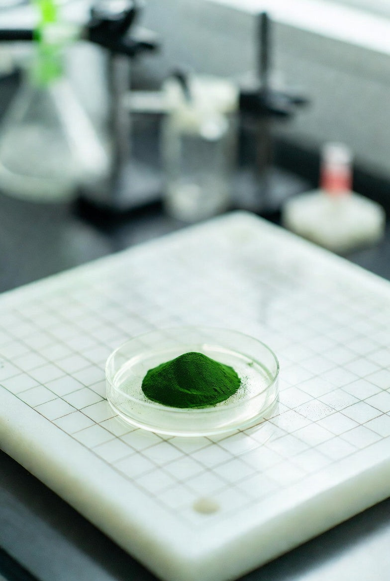 Image of Chlorophyll sodium salt, water-soluble, not copperised, 10 g, plastic - Luminix Health