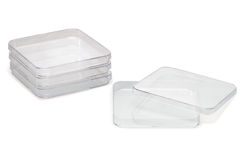 Quadratic petri bowls, PS, L 120 x W 120 x H 17 mm, 240 unit(s) - Luminix Health