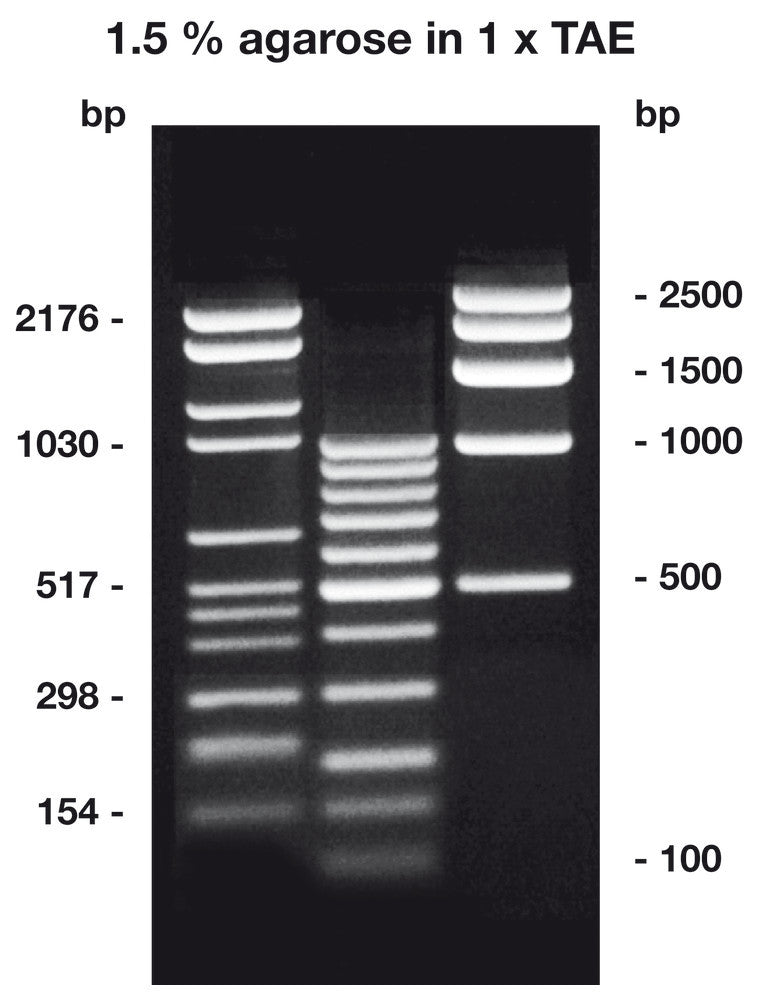 Agarose HR-PLUS ROTI®Garose, for analytical gels, 10 g, plastic - Luminix Health