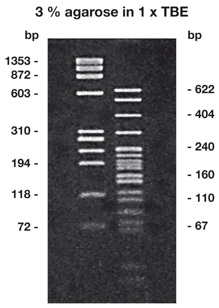 Agarose LM/PCR ROTI®Garose, Low melt, genetic engineering quality, 5 g, plastic - Luminix Health