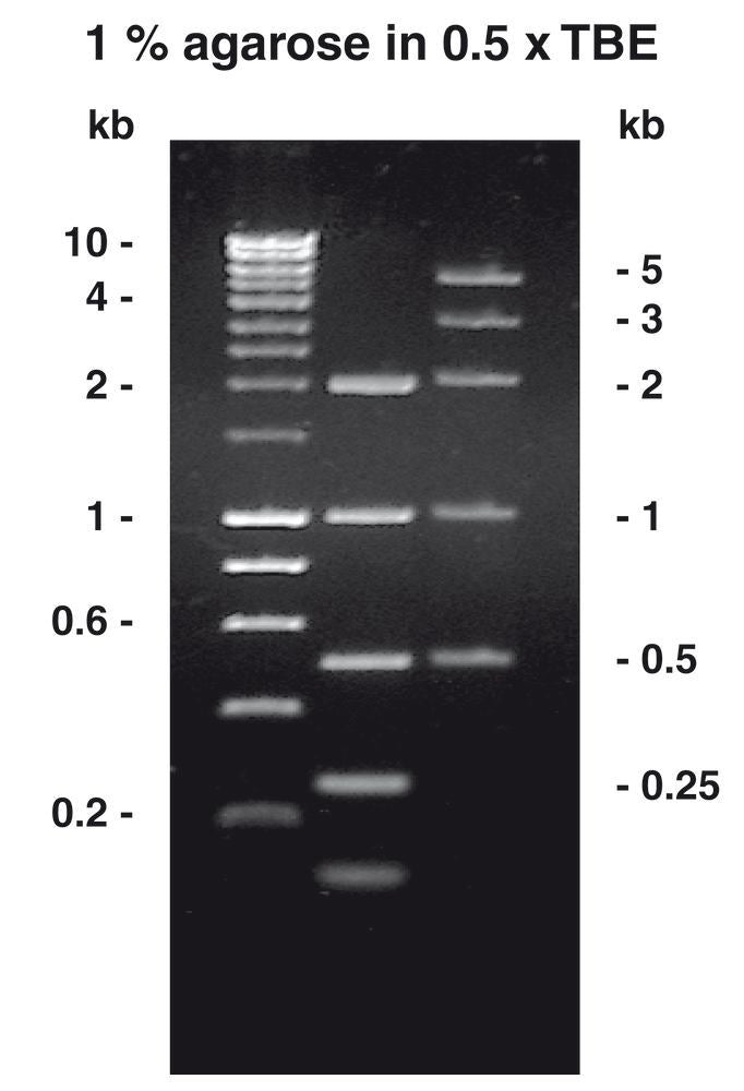 Image of Agarose-Tablets ROTI®Garose