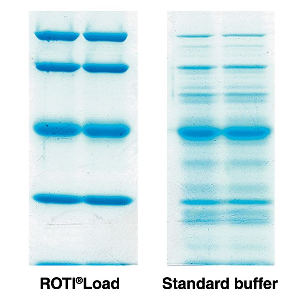 ROTI®Load 3 (LDS), non reducing, 4x conc., 10 ml, glass - Luminix Health