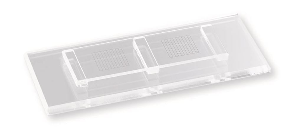Counting Chamber McMaster with, 2 fields and affixed coverslip, 1 unit(s) - Luminix Health
