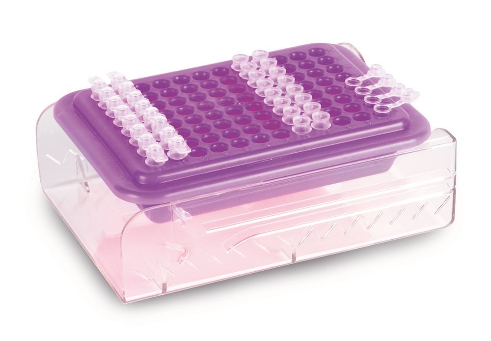 PCR-Kühlboxen,, violett nach pink, 96 Stellpl.,, 2 unit(s) - Luminix Health